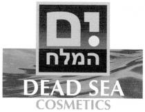 dead sea, dead, sea, cosmetics