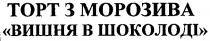 торт з морозива, торт, морозива, вишня в шоколаді, вишня, шоколаді