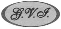 g.v.i., gvi