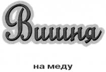 вишня на меду, вишня, меду
