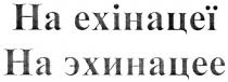 на ехінацеї, на, ехінацеї, на эхинацее, эхинацее