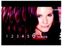 1 2 3 4 5 6 тижнів, 1, 2, 3, 4, 5, 6, londa