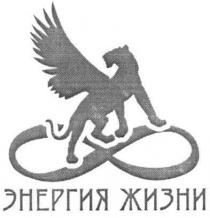 энергия жизни, энергия, жизни, 8