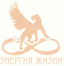 8, энергия жизни, энергия, жизни