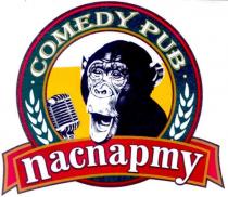 comedy pub, comedy, pub, паспарту