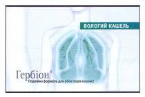 подвійна формула для обох видів кашлю!, гербіон, вологий кашель, вологий, кашель