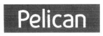 pelican