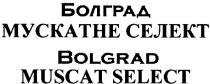 болград мускатне селект, болград, мускатне, селект, bolgrad muscat select, bolgrad, muscat, select