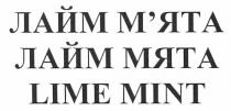 lime mint, lime, mint, лайм мята, лайм, мята, лайм м`ята, м`ята