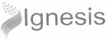 lgnesis