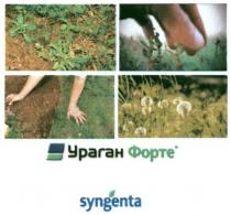 syngenta, ураган форте, ураган, форте