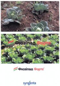 syngenta, фюзілад форте, фюзілад, форте