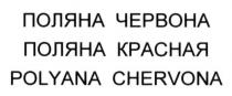 поляна червона, поляна, червона, поляна красная, красная, polyana chervona, polyana, chervona
