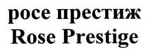 росе престиж, росе, престиж, rose prestige, rose, prestige