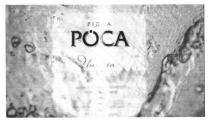 рідна роса чиста, рідна, роса, чиста
