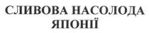 сливова насолода японії, сливова, насолода, японії