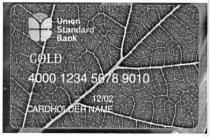 union standard bank, union, standard, bank, 4000 1234 5678 9010, 4000, 1234, 5678, 9010, card holder name, card, holder, name, gold