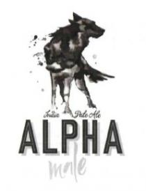 alpha, india, pate, male, ofle, pale, ale
