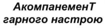 акомпанемент гарного настрою, акомпанемент, гарного, настрою