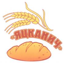 яцканич
