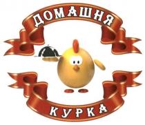 домашня курка, домашня, курка