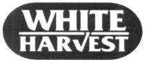 white harvest, white, harvest