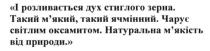 і розливається дух стиглого зерна., розливається, дух, стиглого, зерна, такий мякий., такий ячмінний, мякий, м`який, ячмінний, чарує світлим оксамитом, чарує, світлим, оксамитом, натуральна м`якість від природи, натуральна, мякість, м`якість, природи