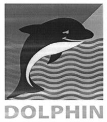 dolphin