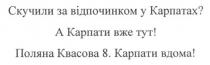 скучили за відпочинком у карпатах? а карпати вже тут! поляна квасова 8 карпати вдома, скучили, відпочинком, карпатах, поляна, квасова, 8, карпати, вдома
