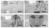 arctica