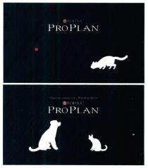 proplan, pro, plan, purina, правильне харчування-здорове майбутнє, правильне, харчування, здорове, майбутнє