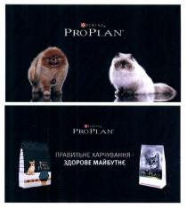 proplan, pro, plan, purina, правильне харчування-здорове майбутнє, правильне, харчування, здорове, майбутнє