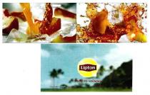 lipton, живи по-чайному, живи, по чайному, чайному