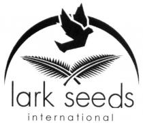 lark seeds international, lark, seeds, international