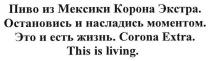 пиво из мексики корона экстра, пиво, мексики, корона, экстра, остановись и насладись моментом, остановись, насладись, моментом, это и есть жизнь, жизнь, corona extra, corona, extra, this is living, living