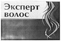 эксперт волос, эксперт, волос
