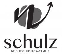 schulz, w, vv, n, бизнес консалтинг, бизнес, консалтинг