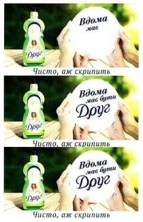 вдома має бути друг; вдома; друг; чисто, аж скрипить; чисто; скрипить