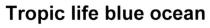 tropic life blue ocean, tropic, life, blue, ocean