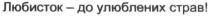 любисток-до улюблених страв!, любисток до улюблених страв, любисток, улюблених, страв