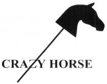 crazy horse, crazy, horse