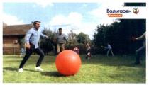 вольтарен емульгель, вольтарен, емульгель