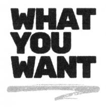 what you want, what, want