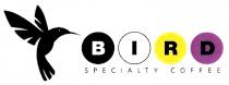 bird specialty coffee, bird, specialty, coffee
