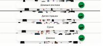 домашні рослини, домашні, рослини, дитячі іграшки, дитячі, іграшки, сукня, джинси