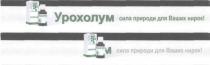 урохолум, урохолум сила природи для ваших нирок!, сила, природи, нирок, !
