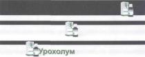 урохолум