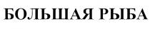 большая рыба, большая, рыба