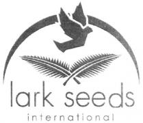 lark seeds international; lark; seeds; international