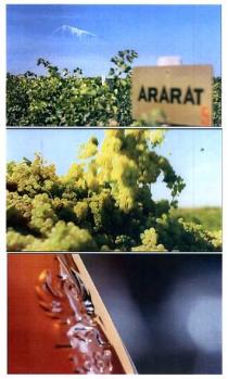 ararat